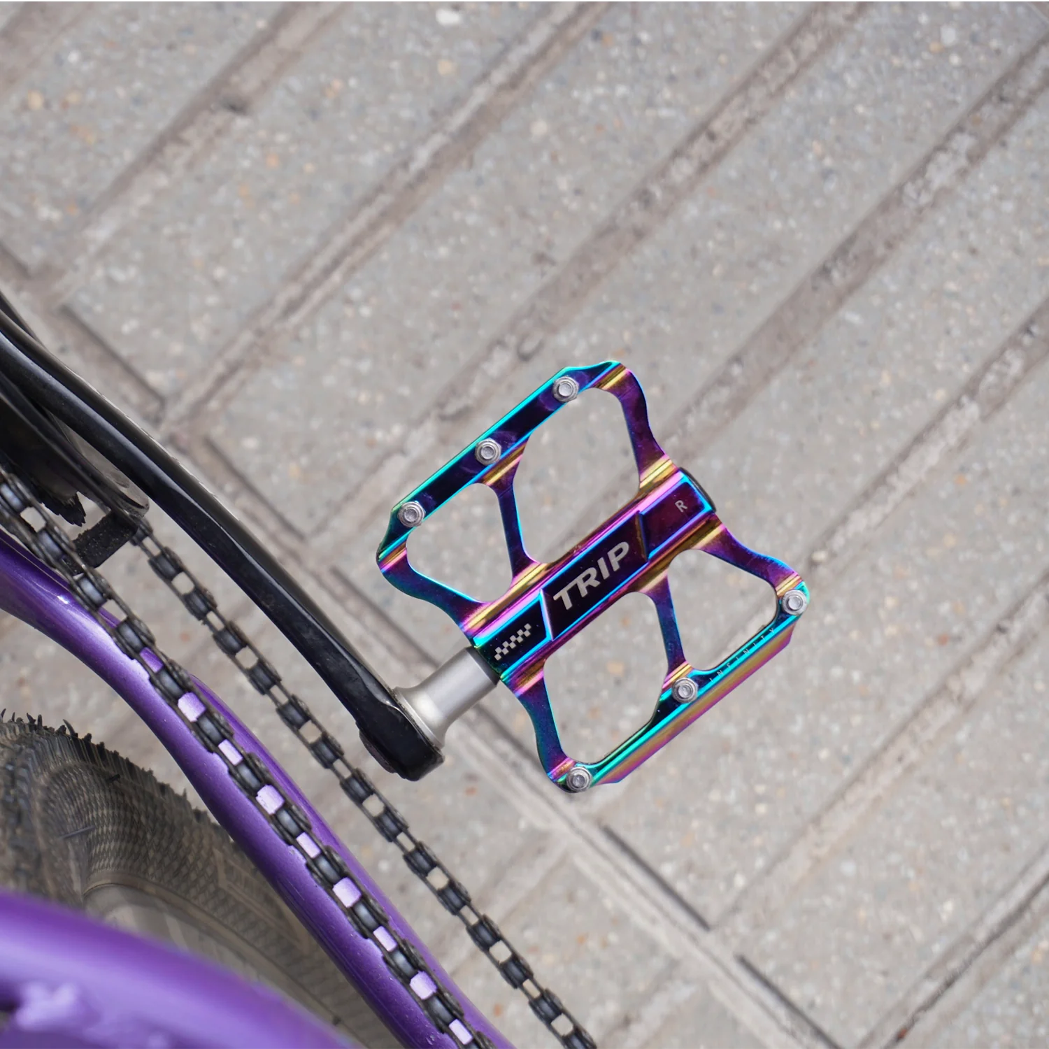 Pedalestripinfinitytornasol_5000x